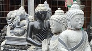 स्नेह-नेह!